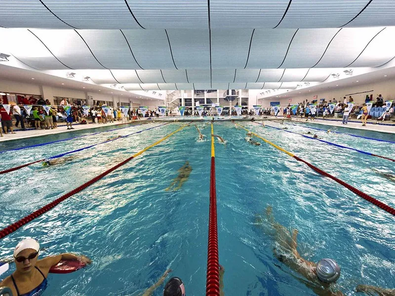 Hamdan Sports Complex, Dubai Pool with Swimmers