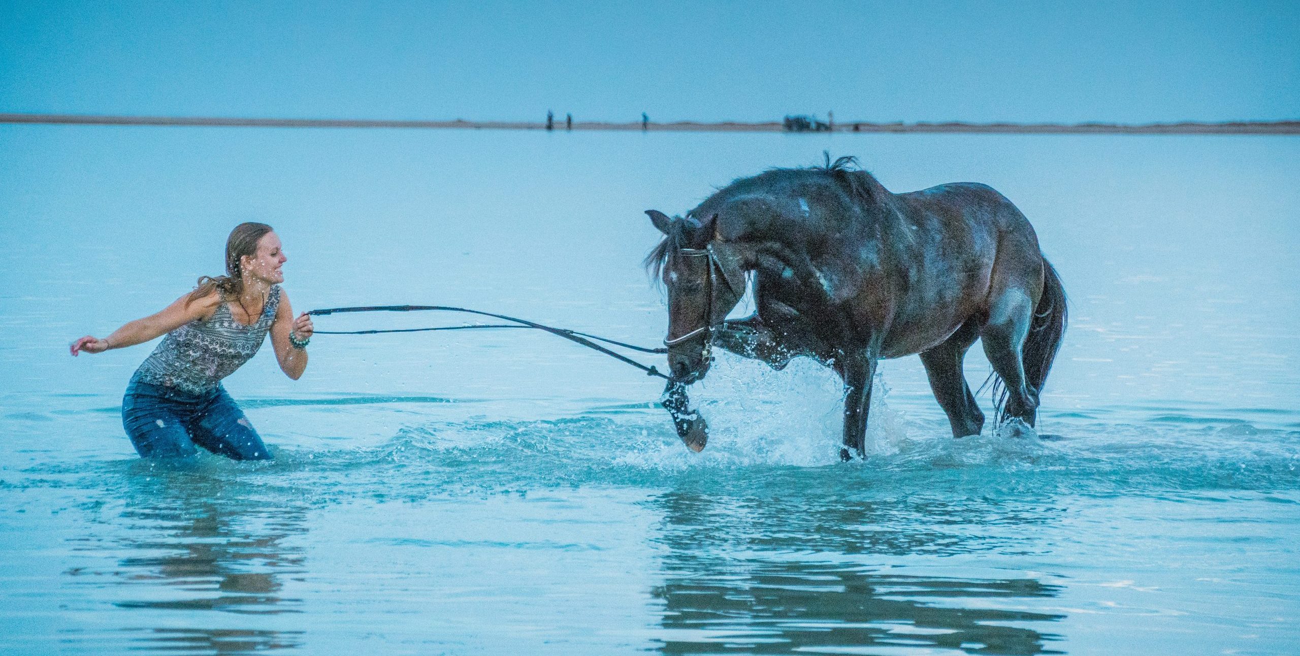 Horse in Water - Designing Equine Swimming Pools